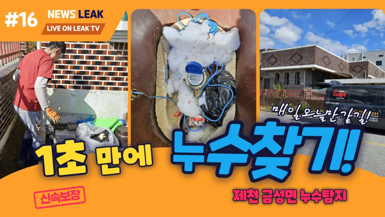 제천 금성면 누수 탐지 출동 현장에서 1초만에 누수원인 발견한 이야기