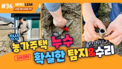 정선 누수 탐지 이야기
